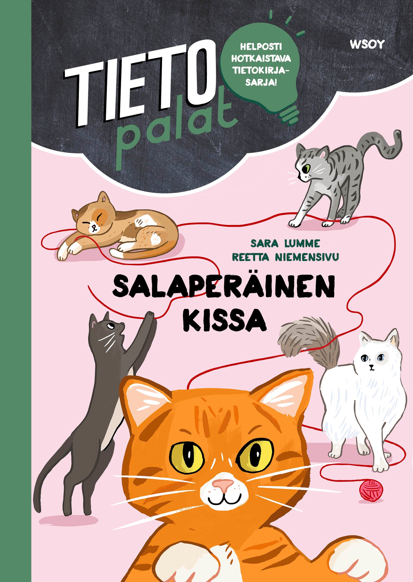 Tietopalat: Salaperäinen kissa – E-bok