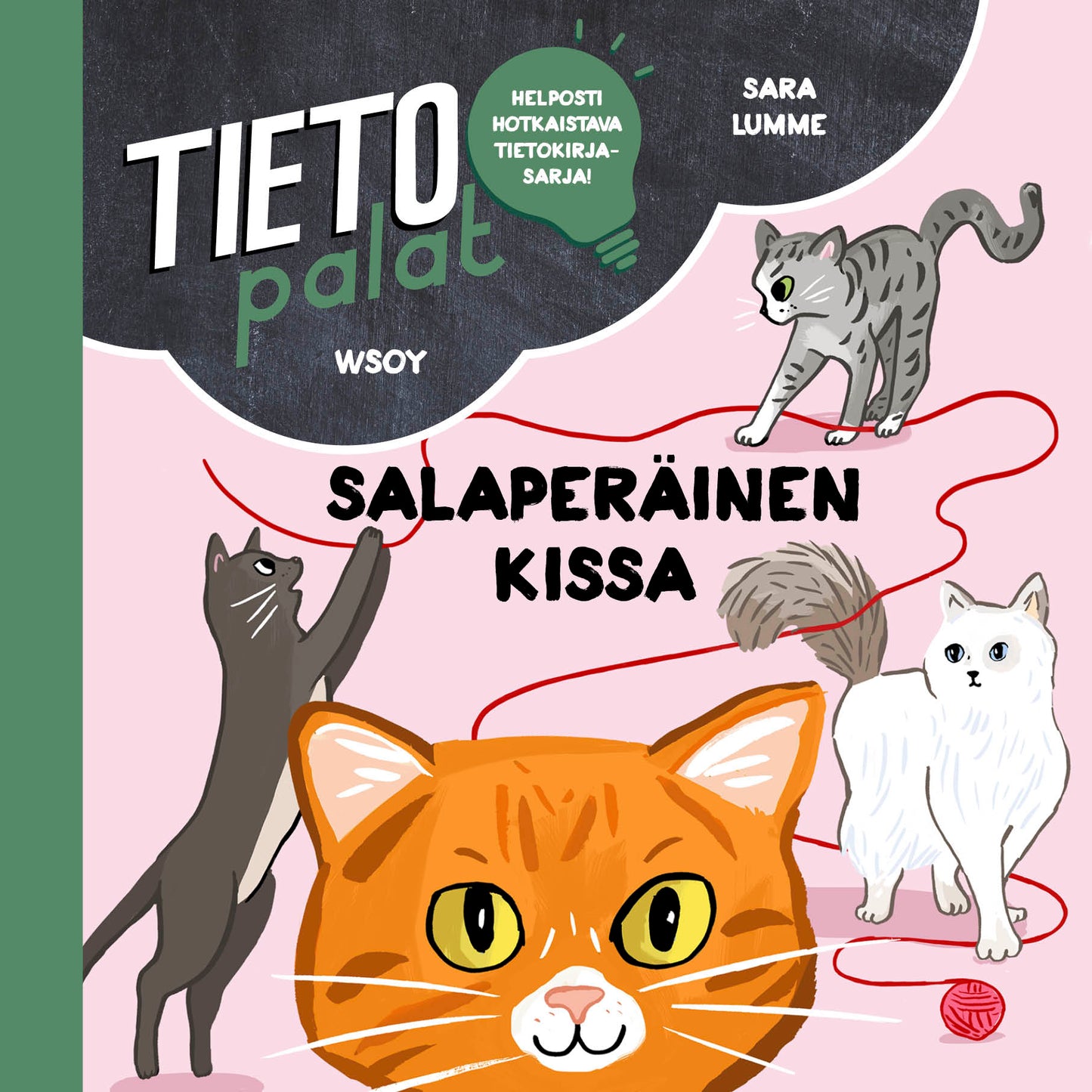 Tietopalat: Salaperäinen kissa – Ljudbok