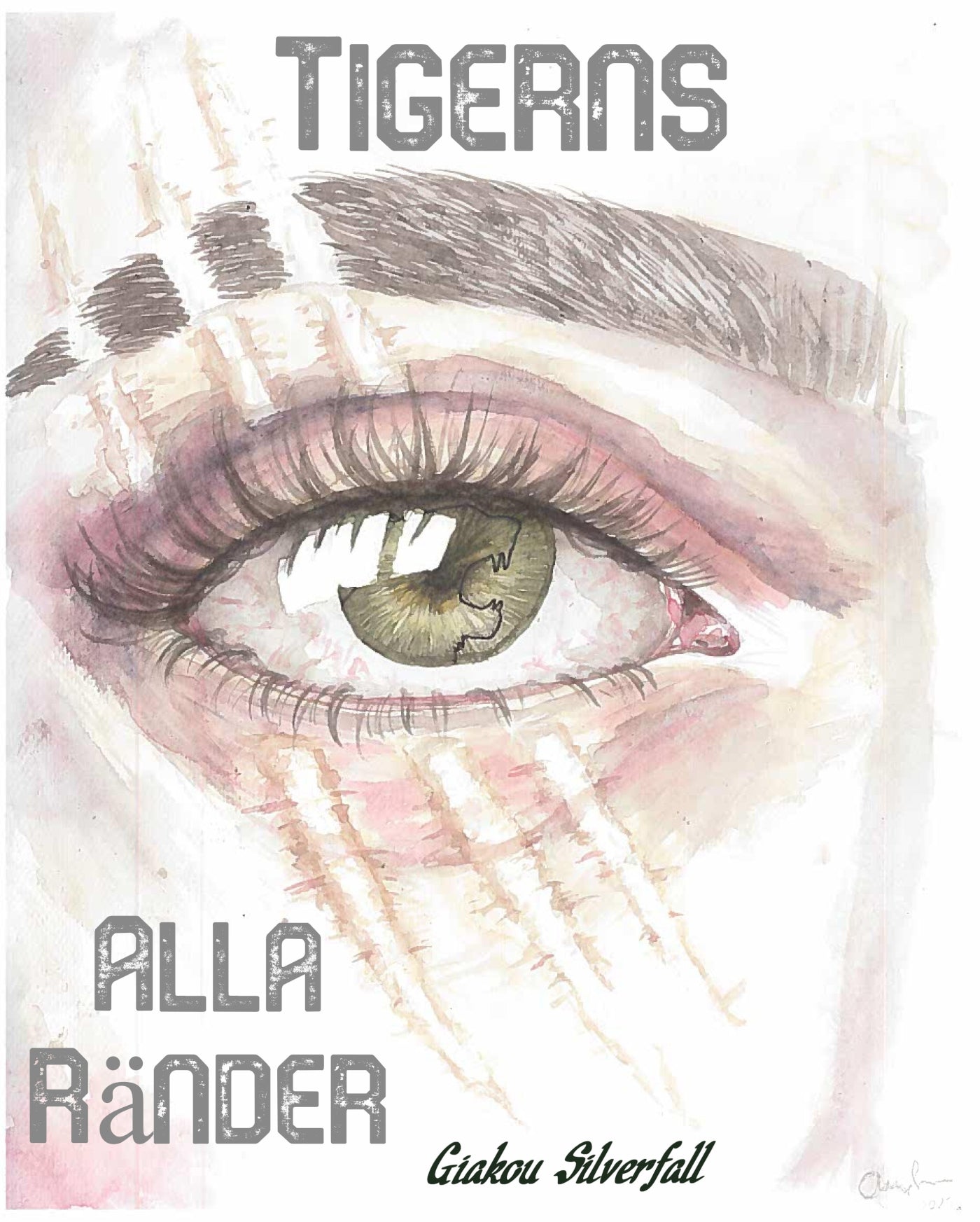 Tigerns alla ränder – E-bok