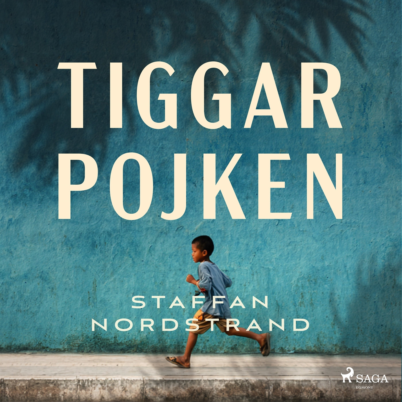 Tiggarpojken – Ljudbok