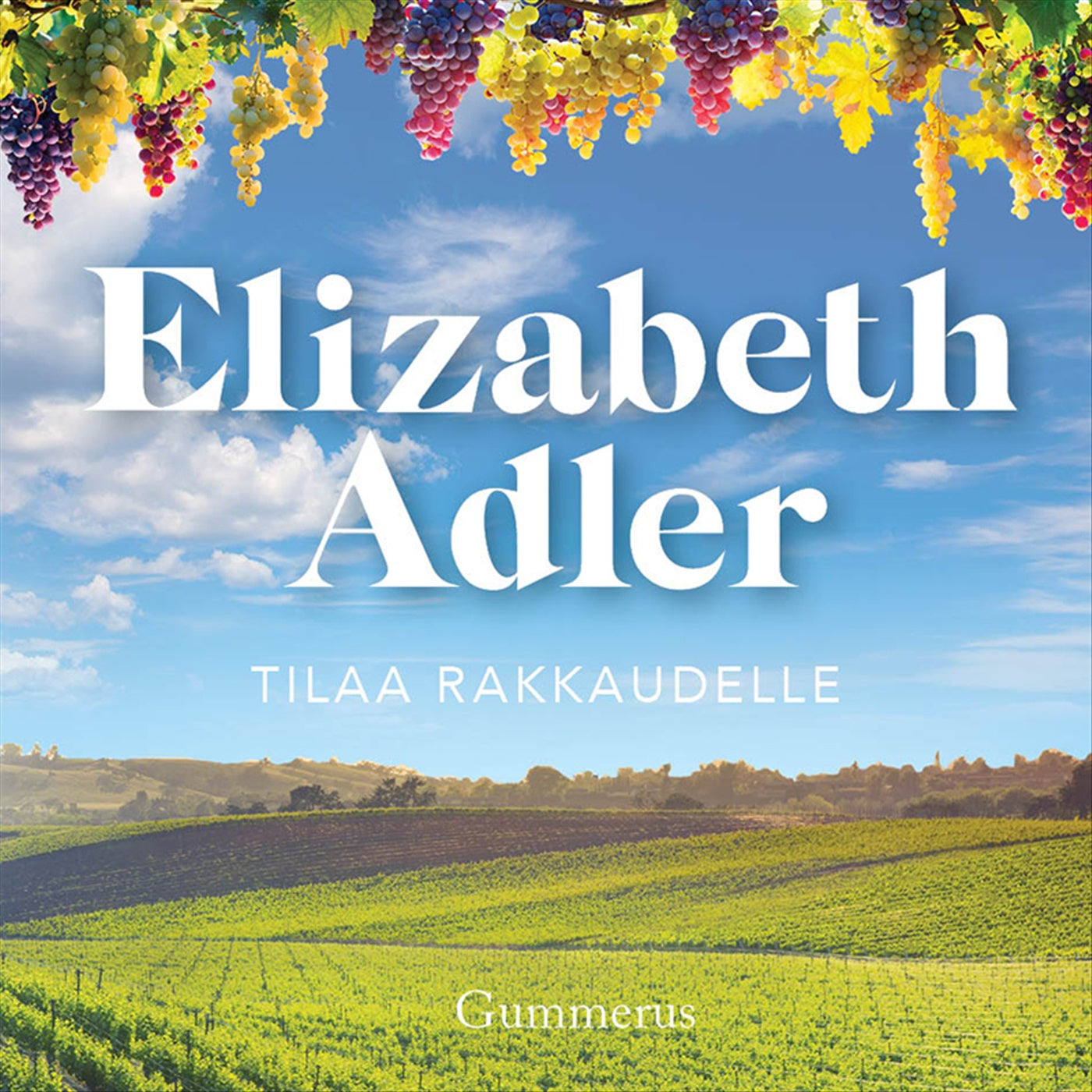 Tilaa rakkaudelle – Ljudbok