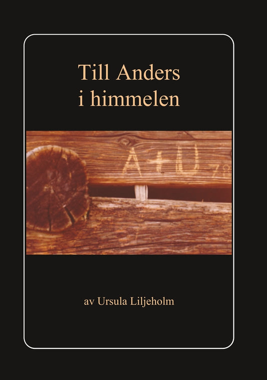 Till Anders i himmelen: Liljeholm, Ursula – E-bok