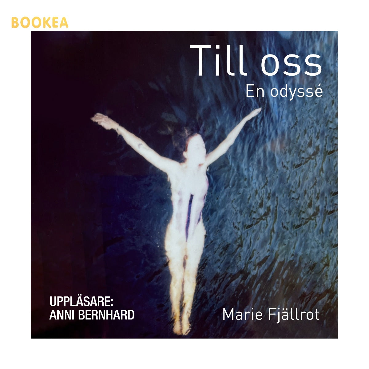 Till oss : en odyssé – Ljudbok