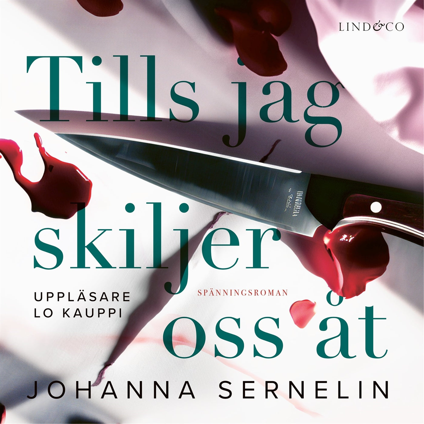 Tills jag skiljer oss åt – Ljudbok