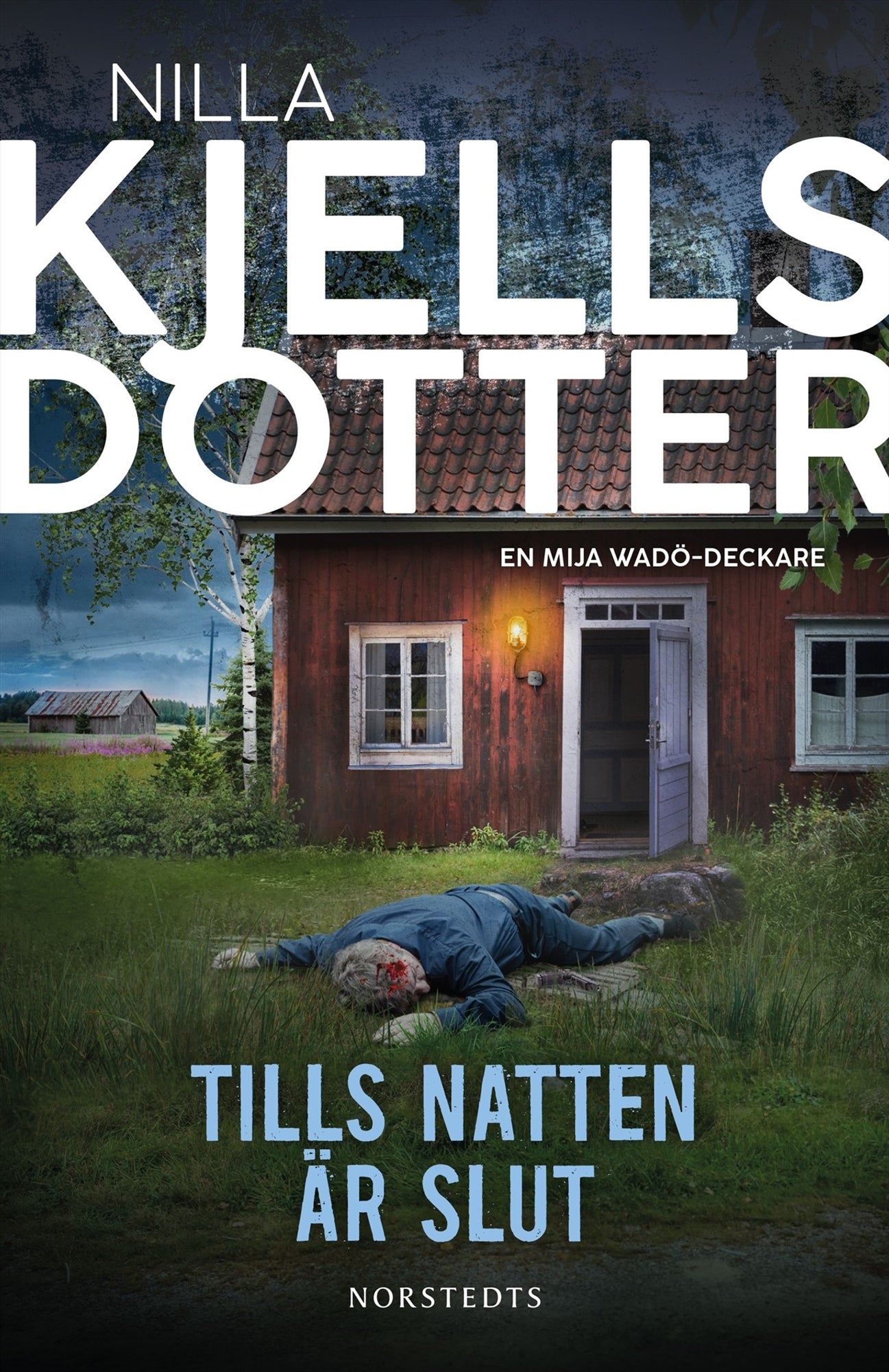 Tills natten är slut – E-bok