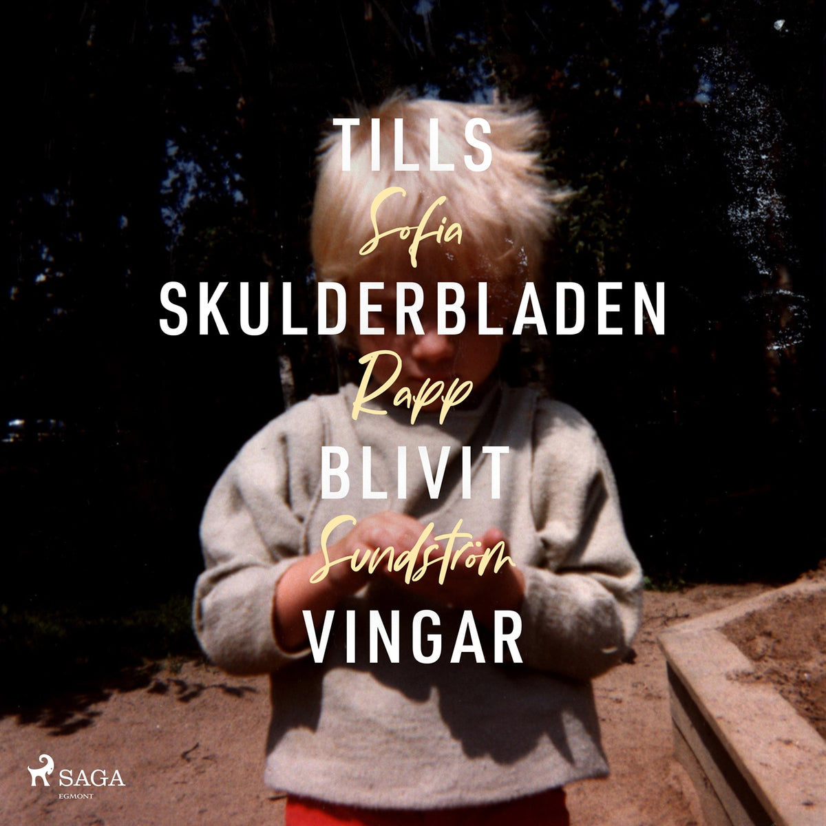 Tills skulderbladen blivit vingar – Ljudbok