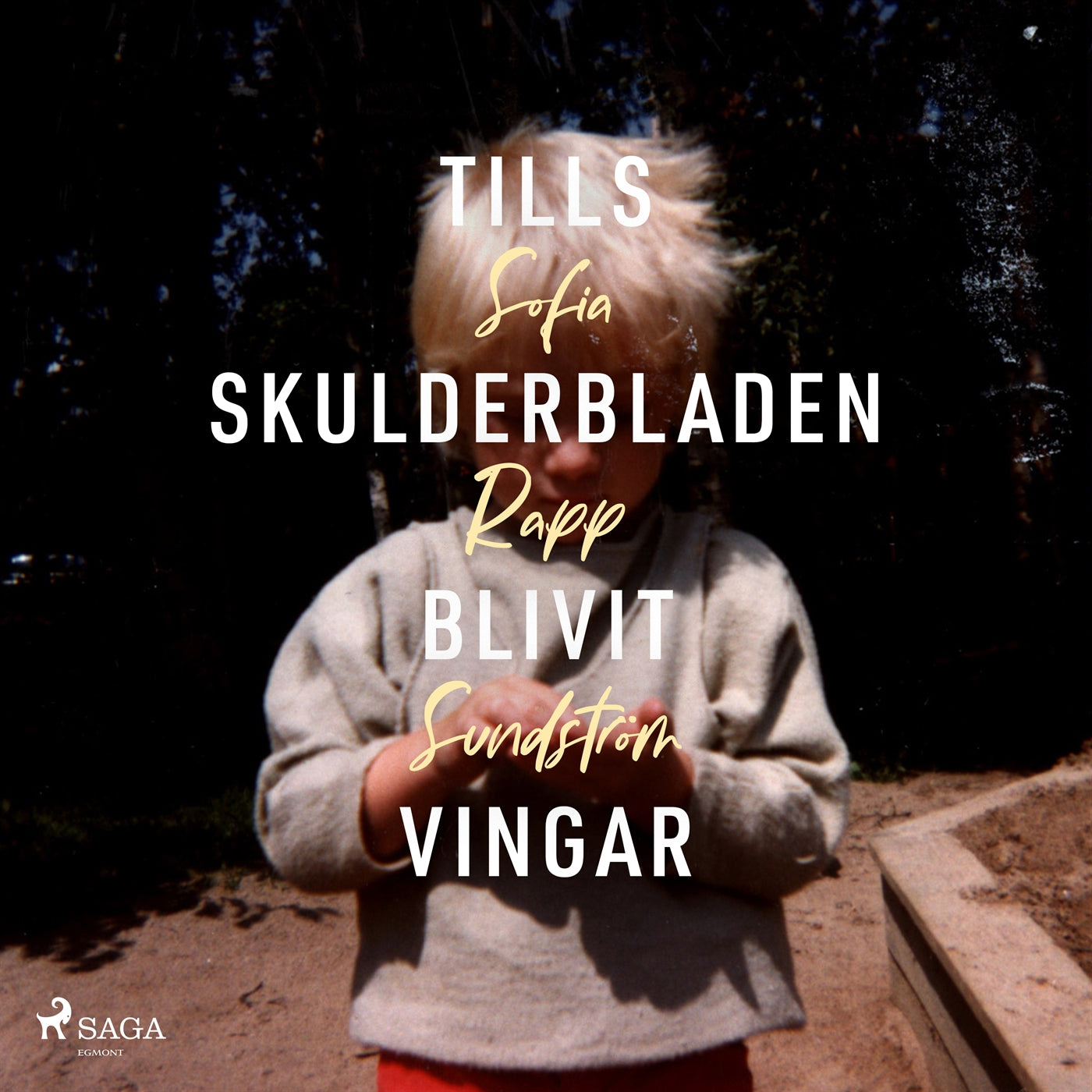 Tills skulderbladen blivit vingar – Ljudbok