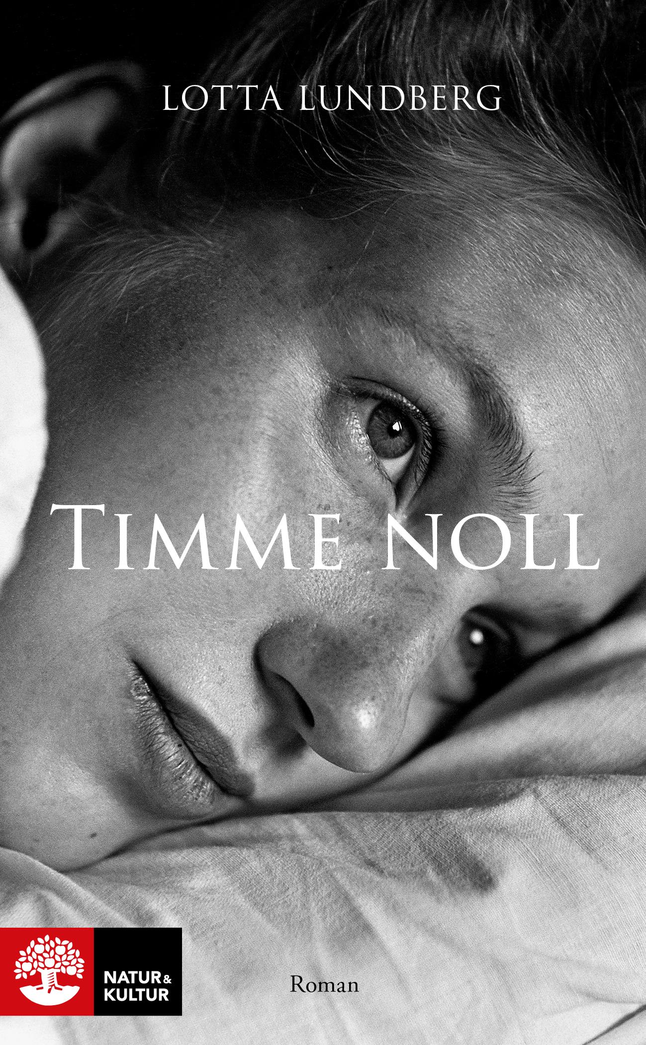 Timme noll – E-bok