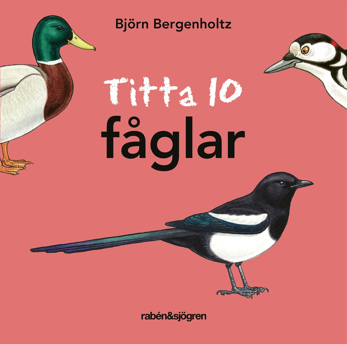 Titta 10 fåglar – E-bok