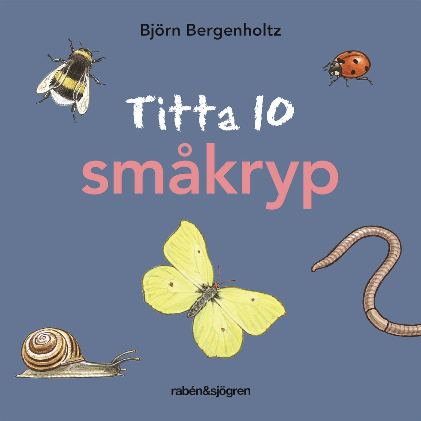 Titta 10 småkryp – E-bok