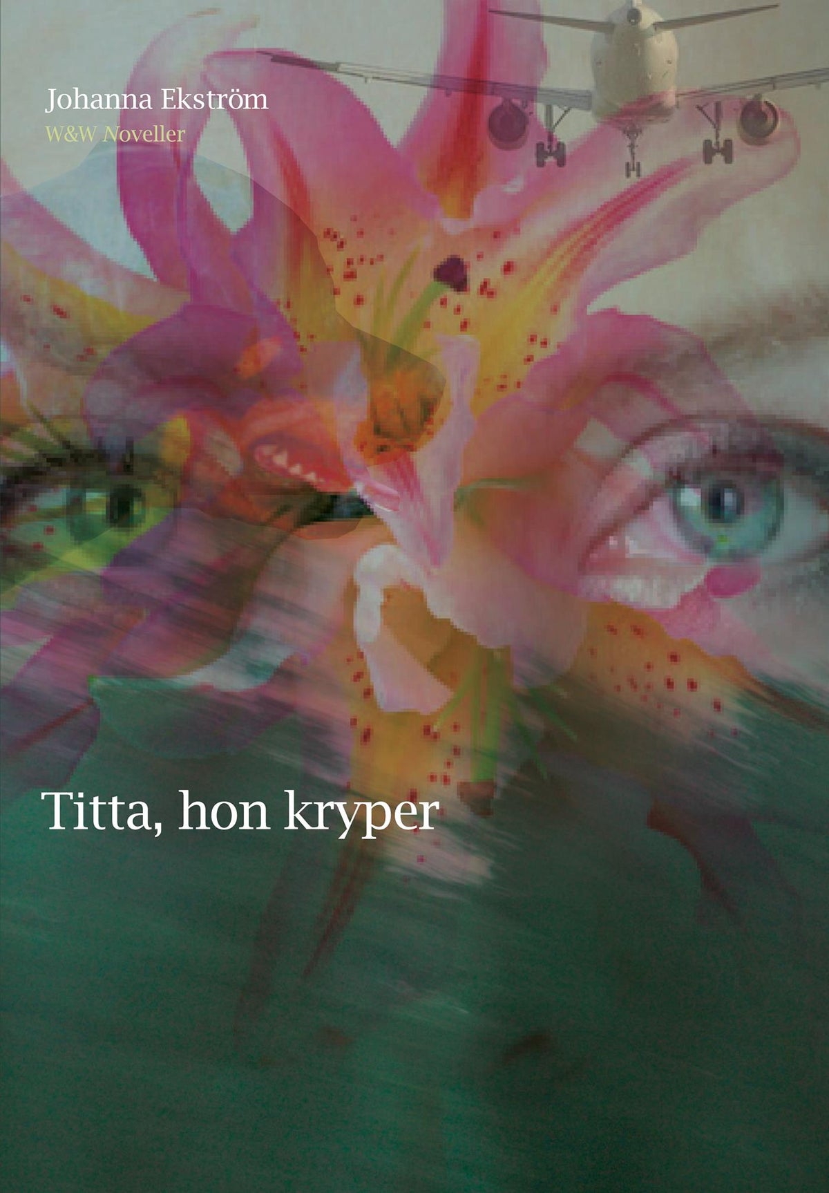 Titta, hon kryper – E-bok