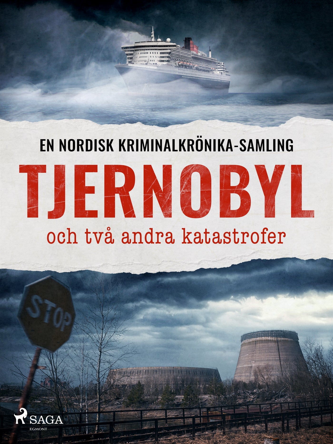 Tjernobyl och två andra katastrofer – E-bok