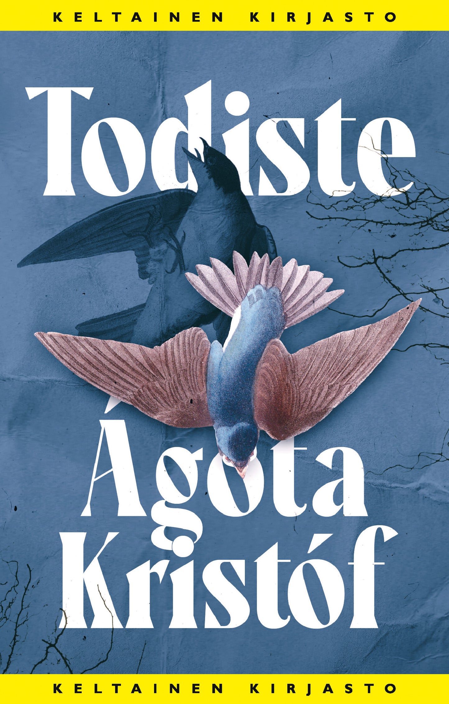 Todiste – E-bok