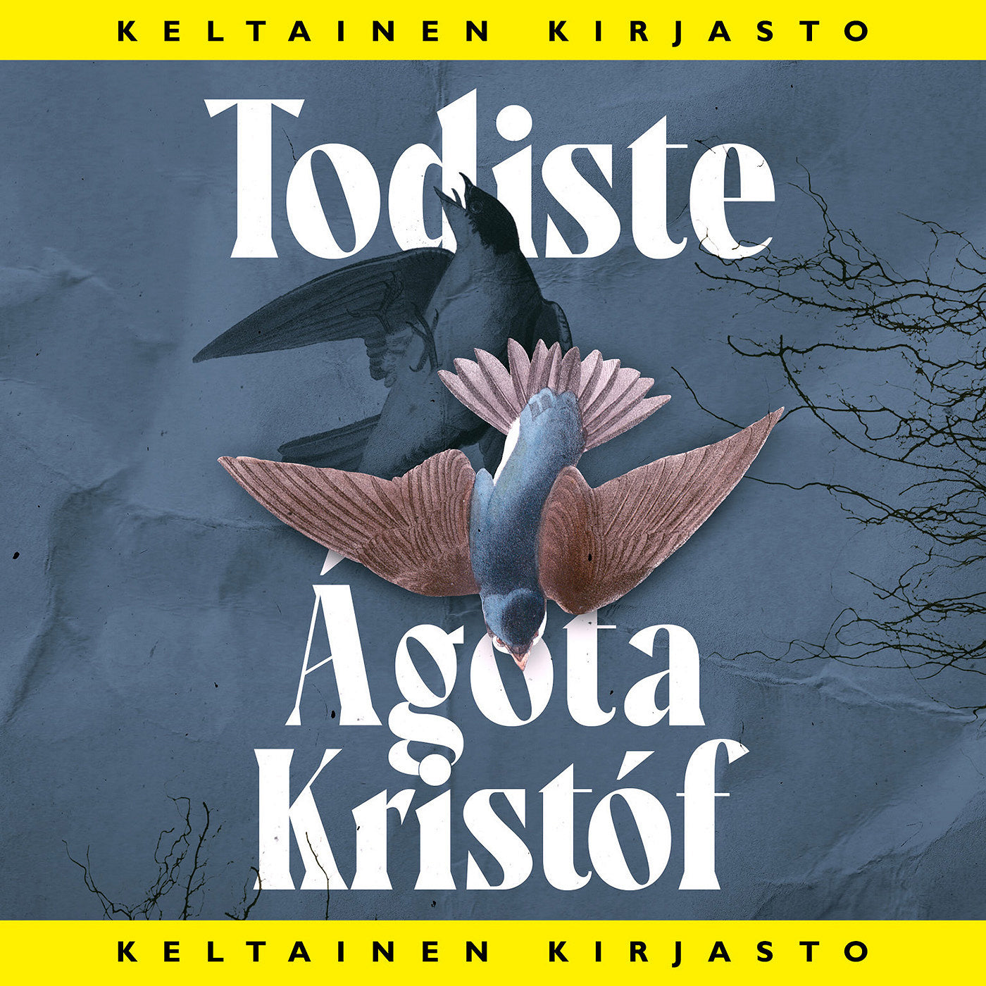 Todiste – Ljudbok