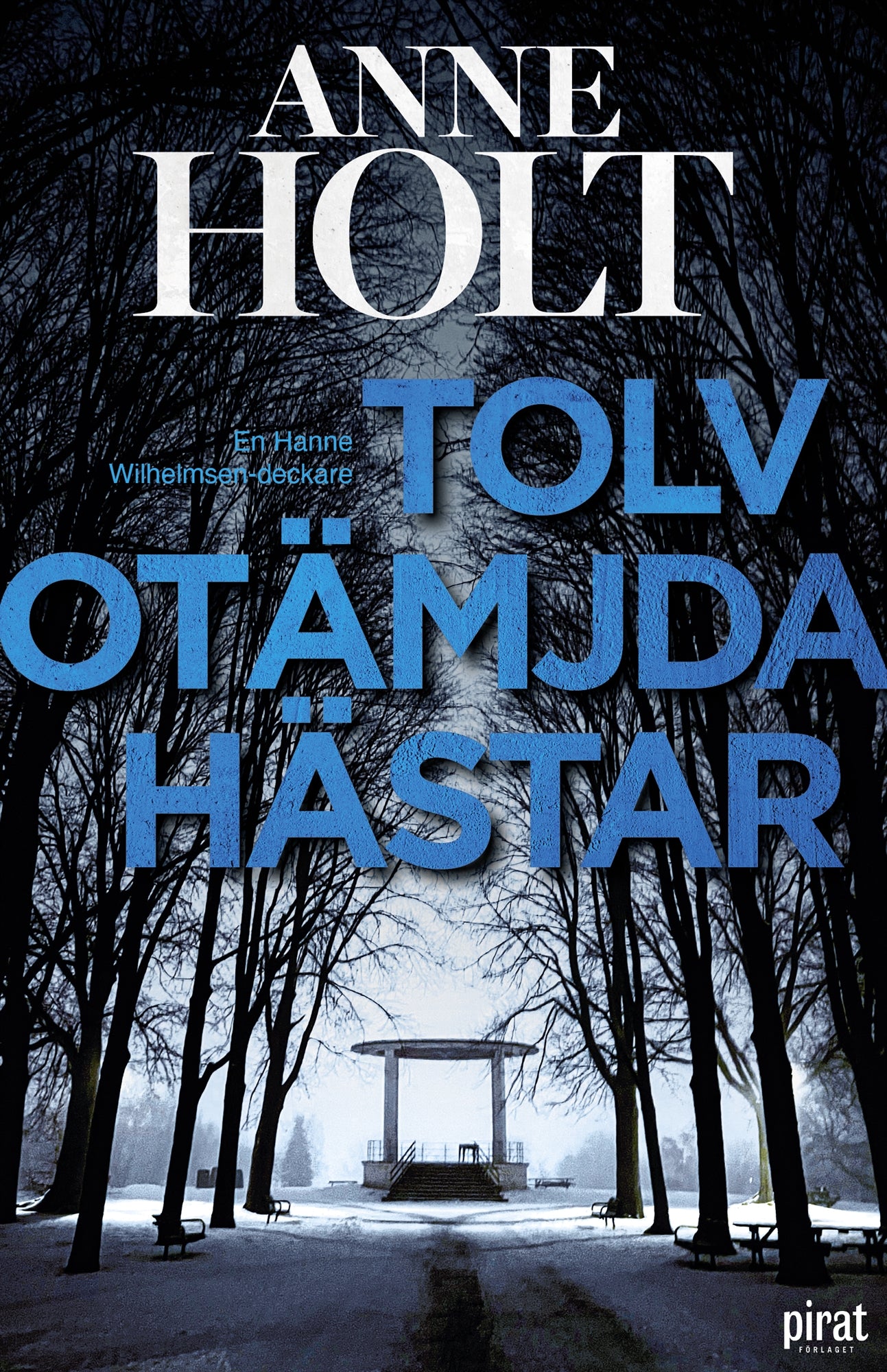 Tolv otämjda hästar – E-bok