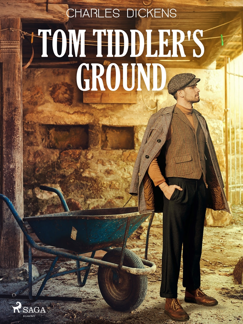 Tom Tiddler's Ground – E-bok