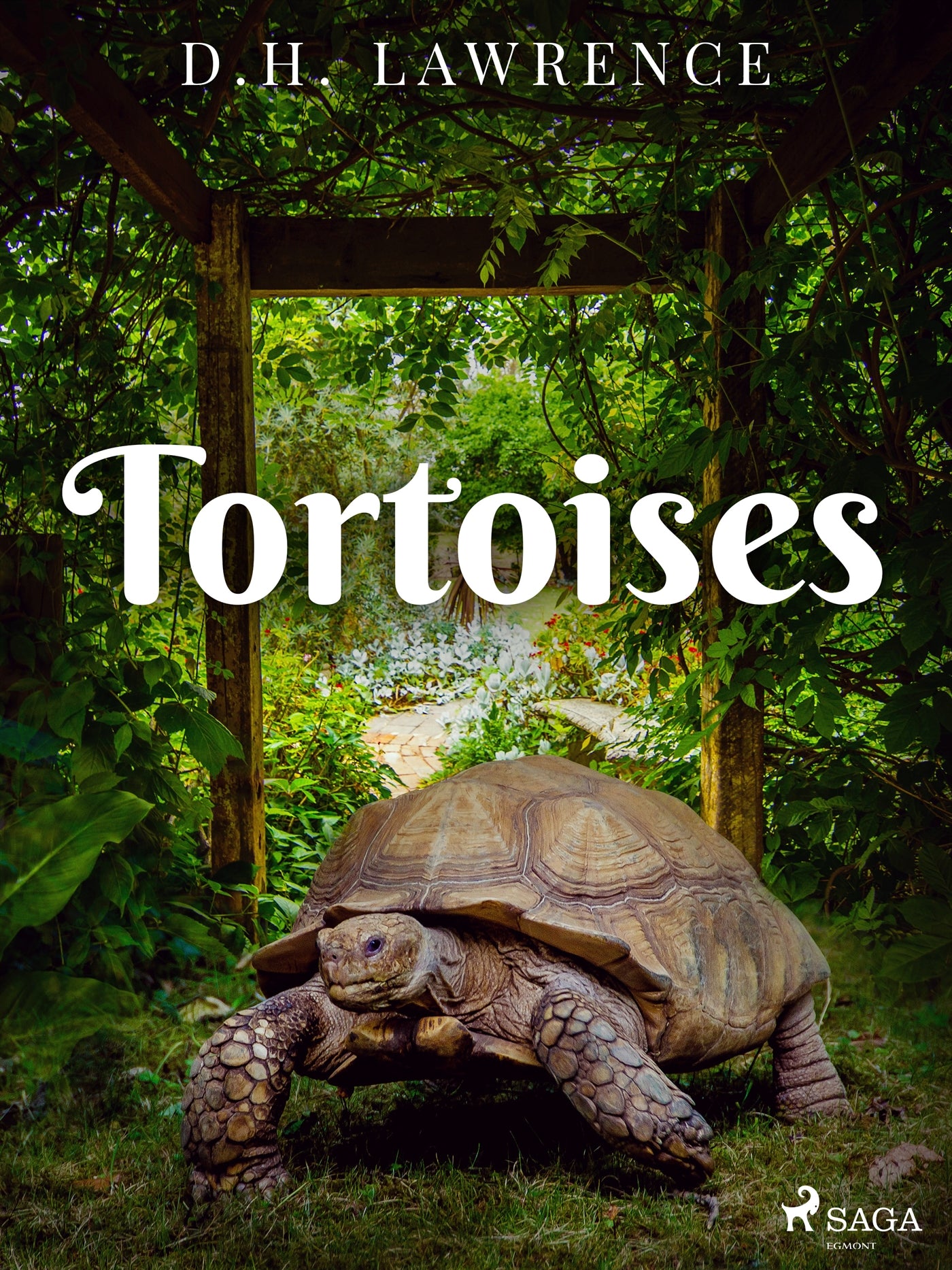Tortoises – E-bok