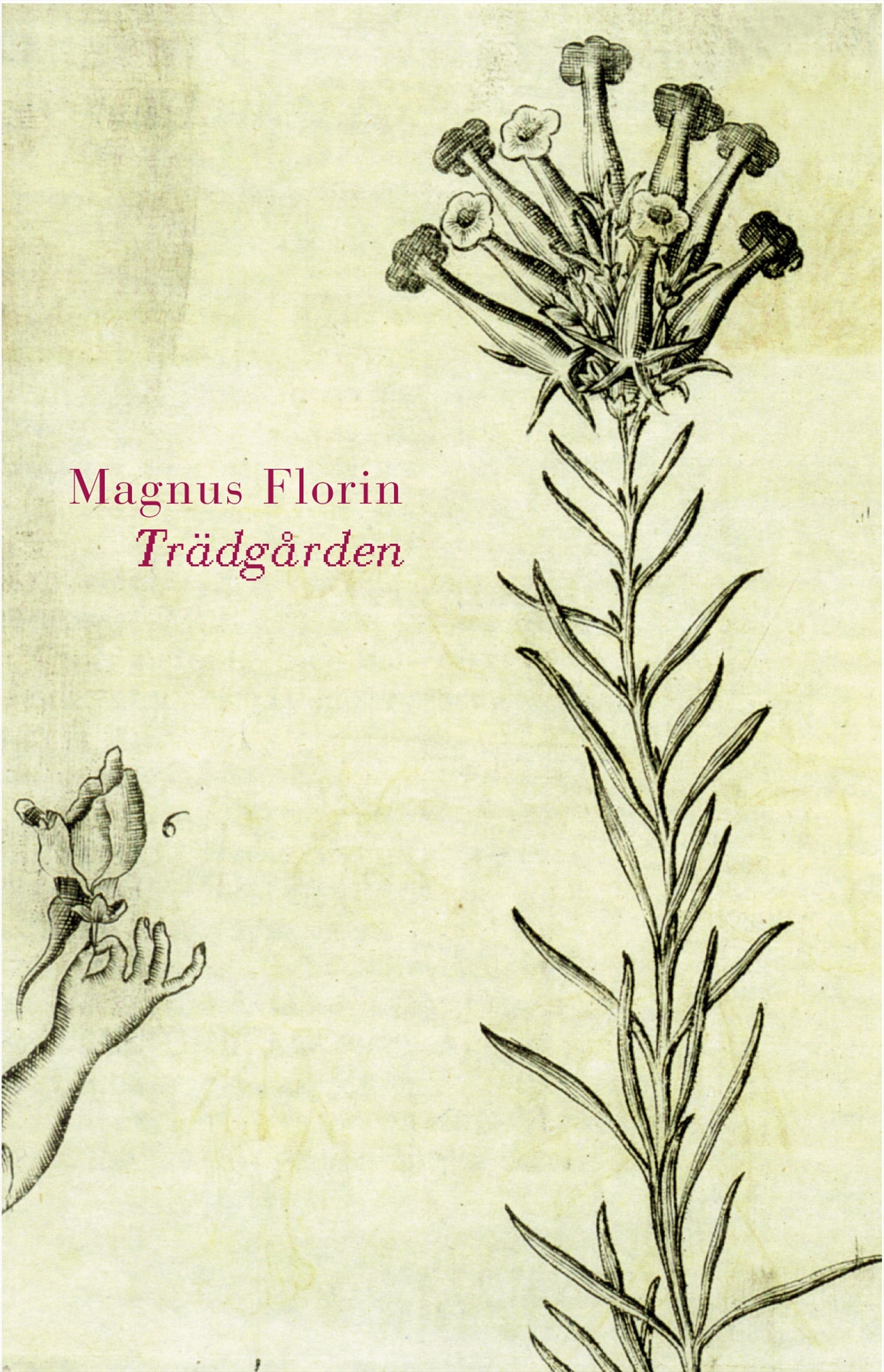 Trädgården – E-bok