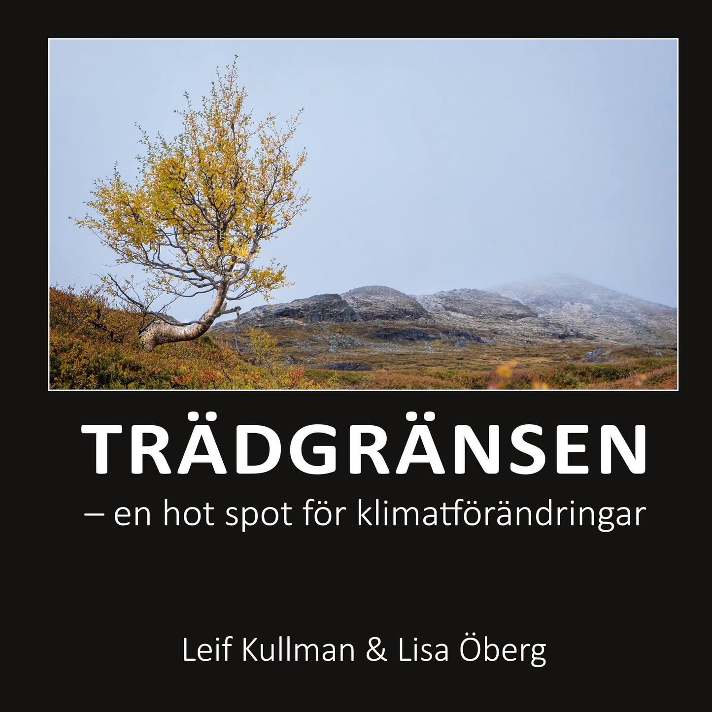 Trädgränsen: en hot spot för klimatförändringar – E-bok