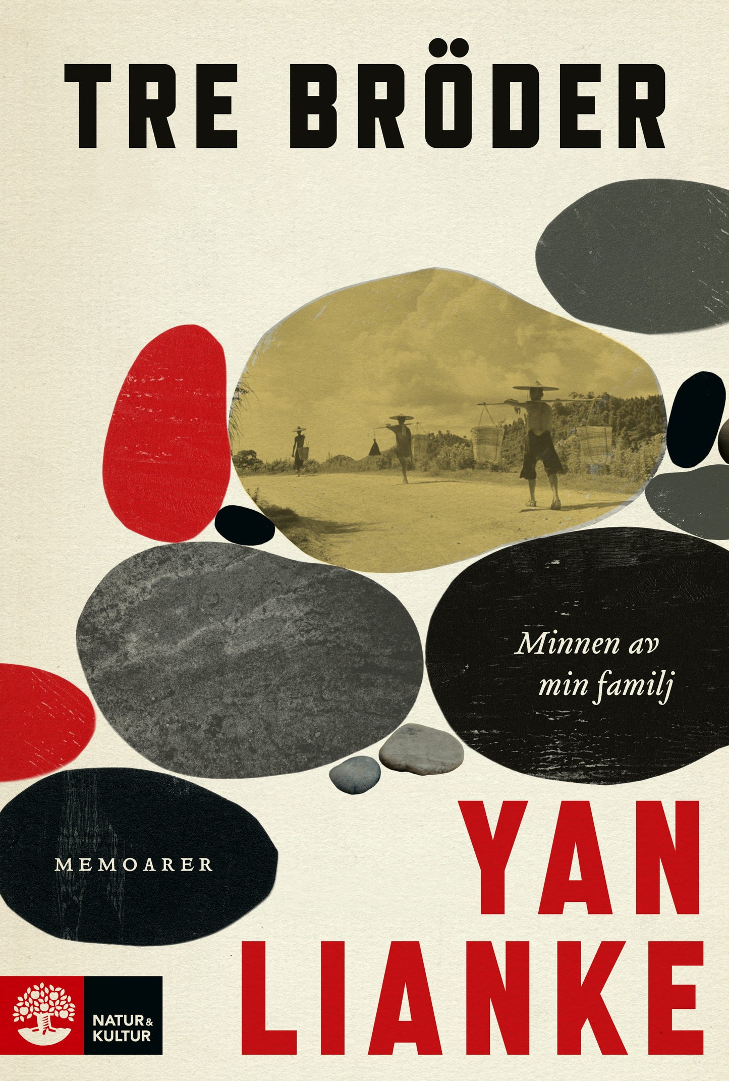 Tre bröder : minnen av min familj – E-bok