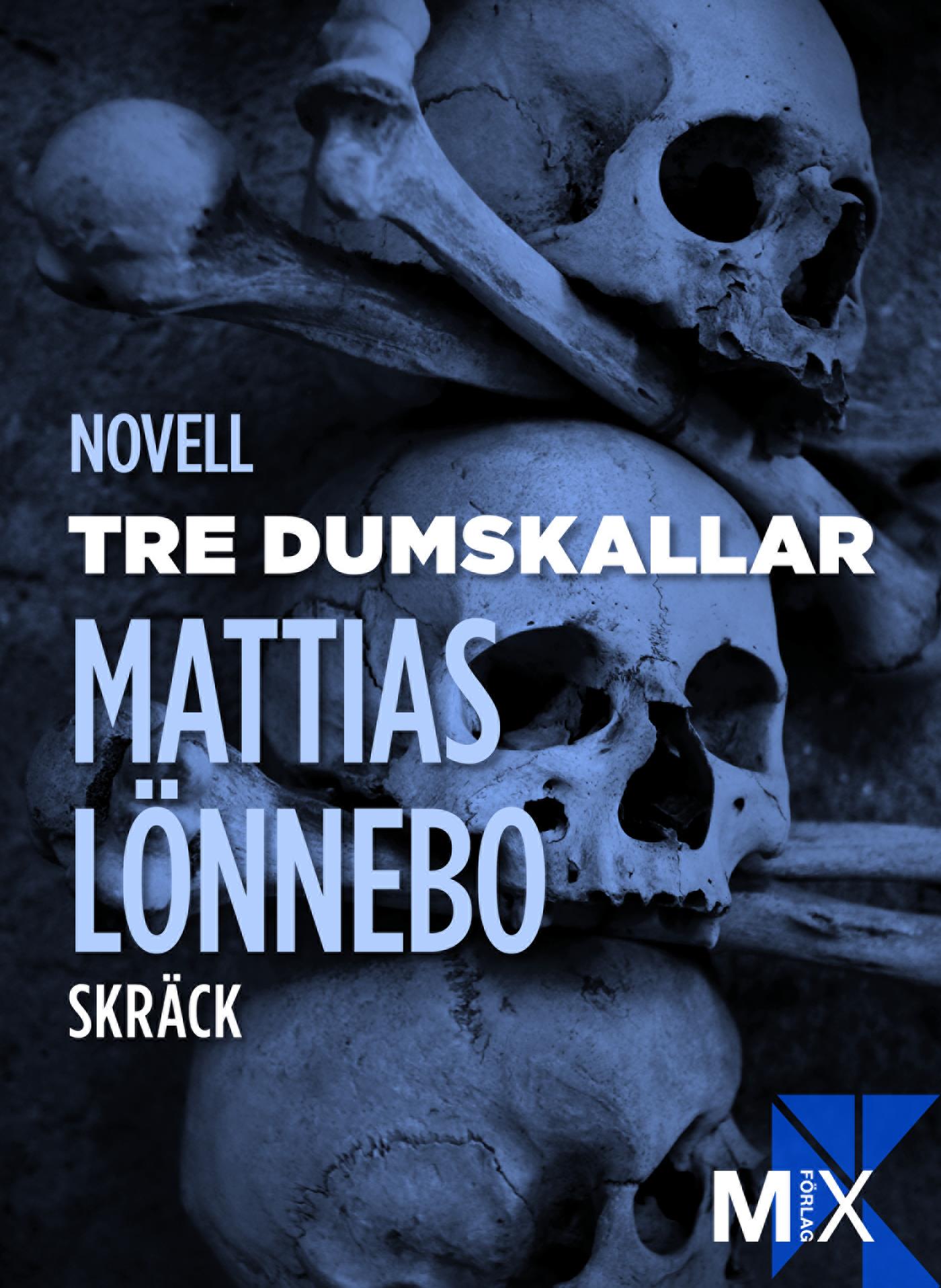 Tre dumskallar – E-bok