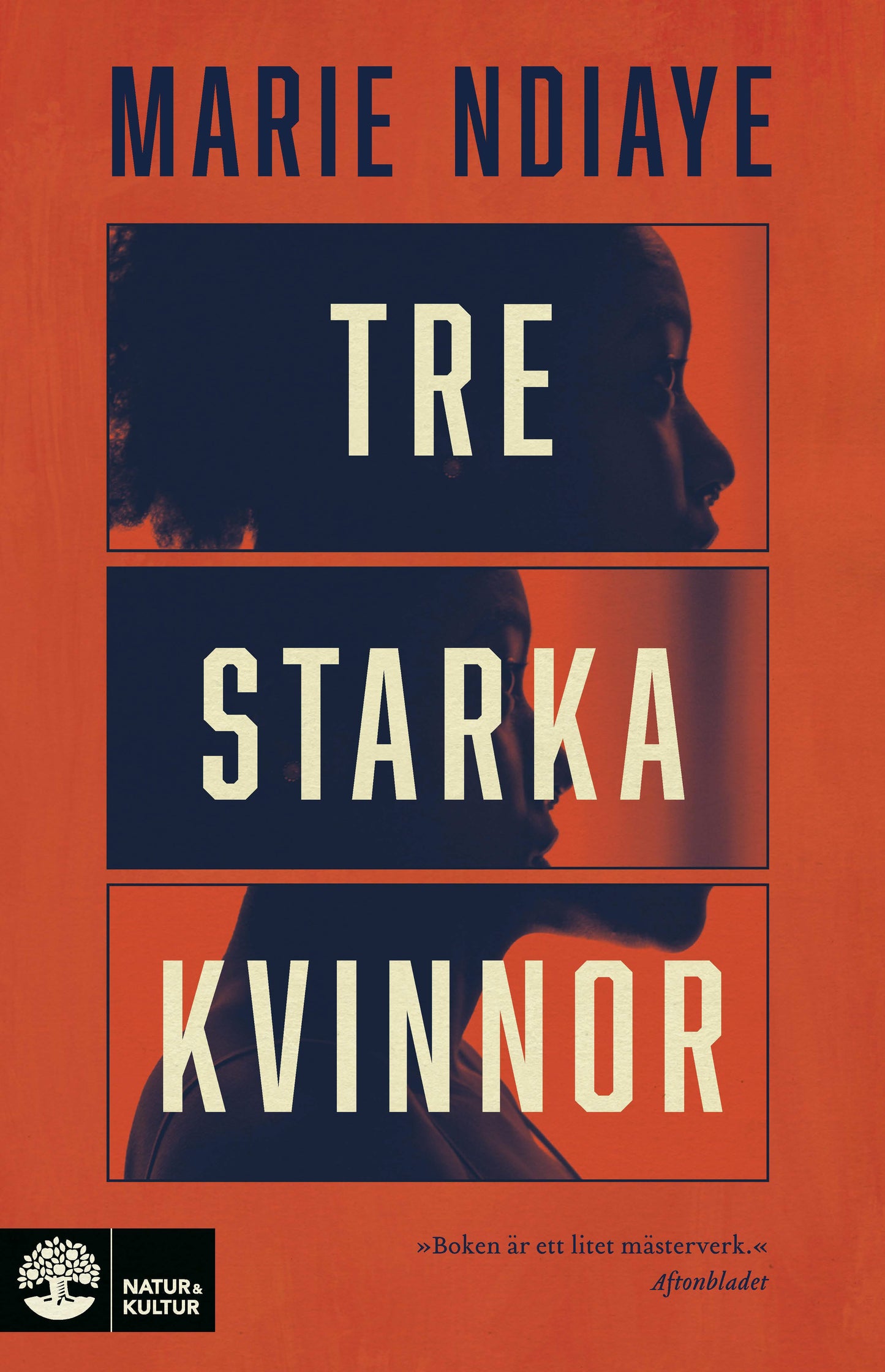 Tre starka kvinnor – E-bok