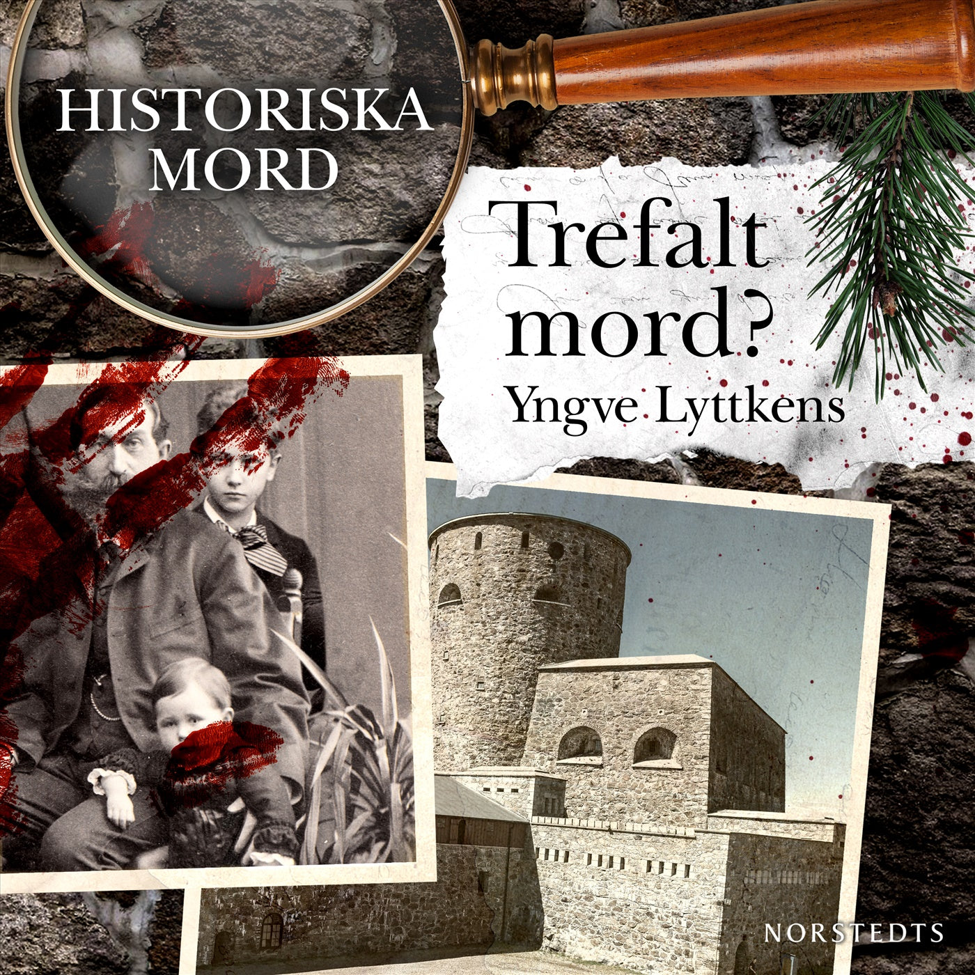 Trefalt mord? : Historiska mord del 7 – Ljudbok