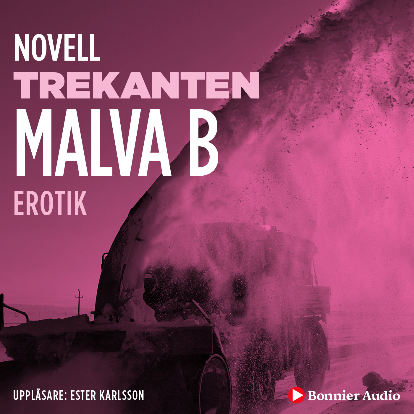 Trekanten : en novell ur Begär – Ljudbok