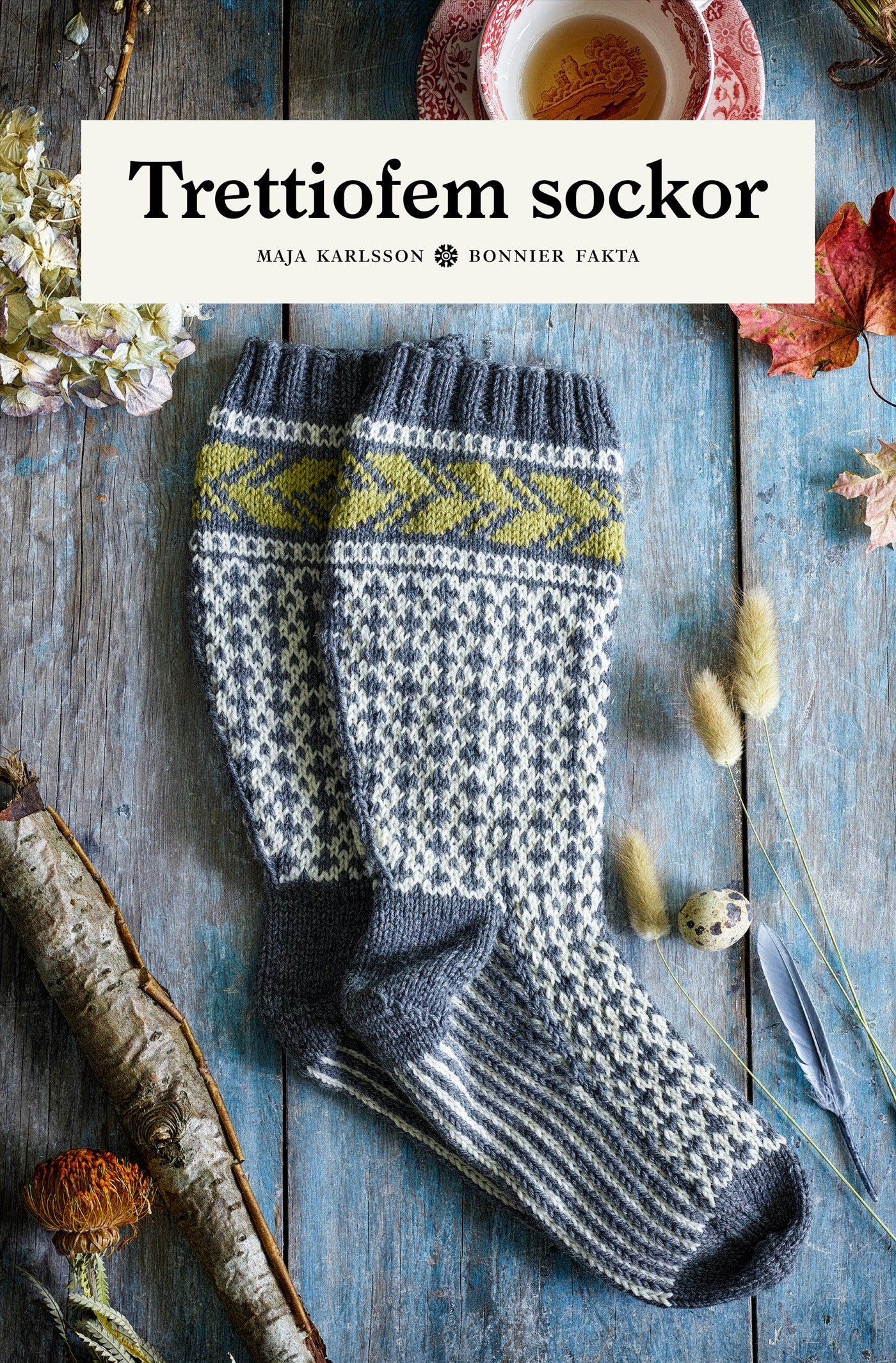 Trettiofem sockor – E-bok