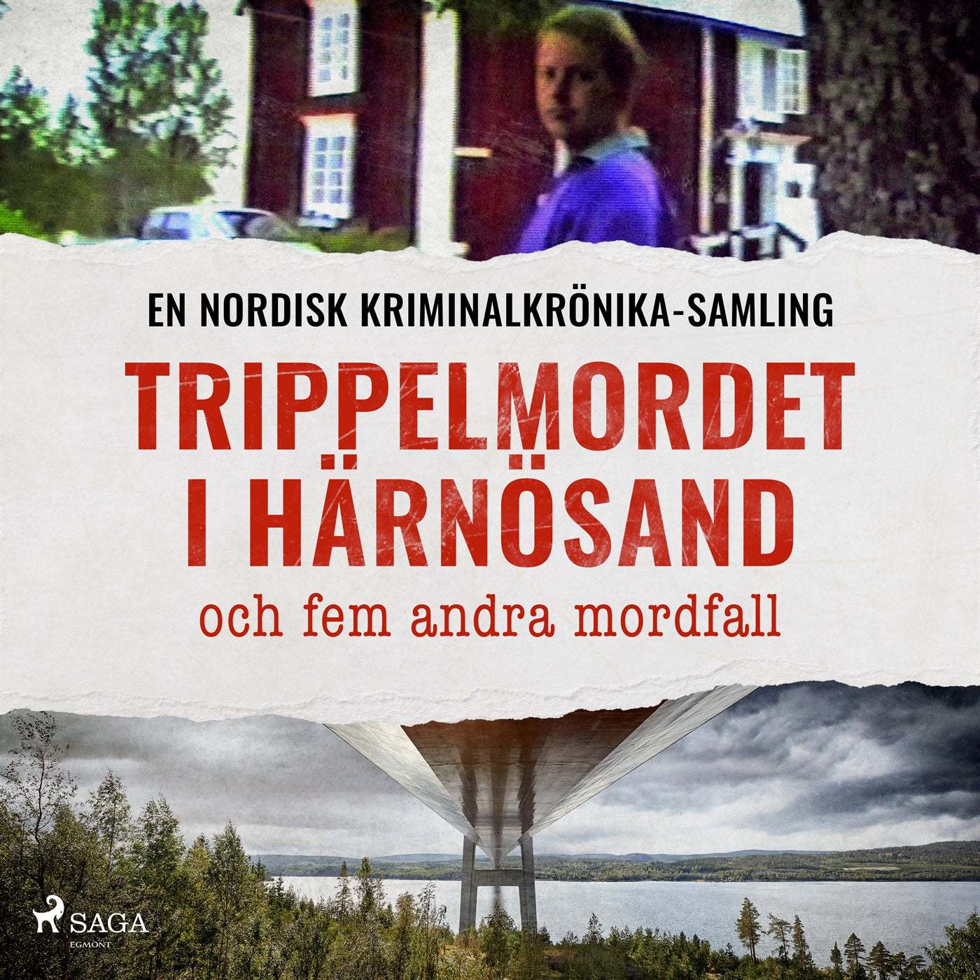 Trippelmordet i Härnösand, och fem andra mordfall – Ljudbok