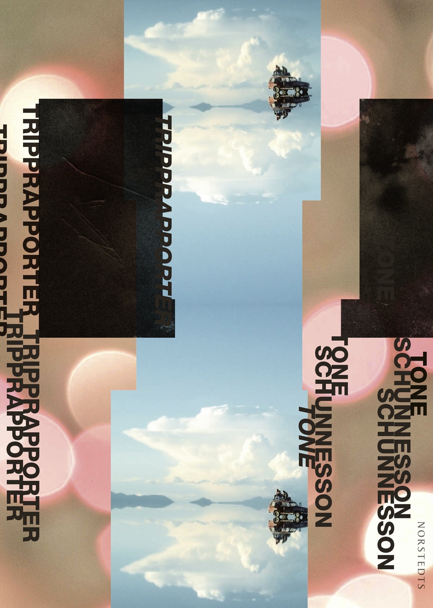 Tripprapporter – E-bok