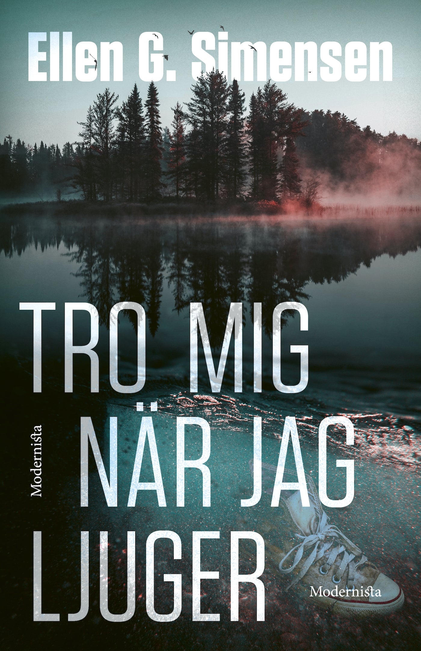 Tro mig när jag ljuger – E-bok