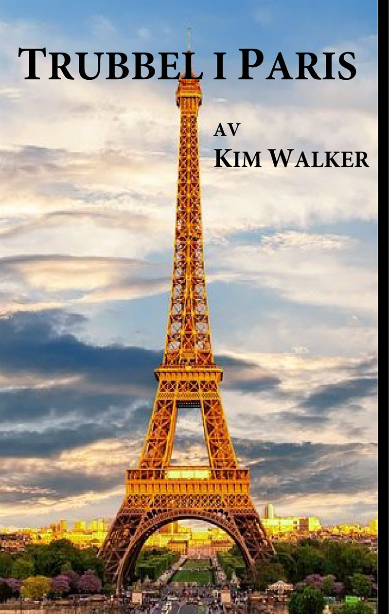 Trubbel i Paris: Spänningsroman i internationell miljö med storpolitiska konflikter – E-bok