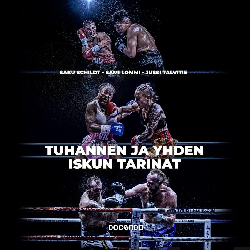 Tuhannen ja yhden iskun tarinat – Ljudbok