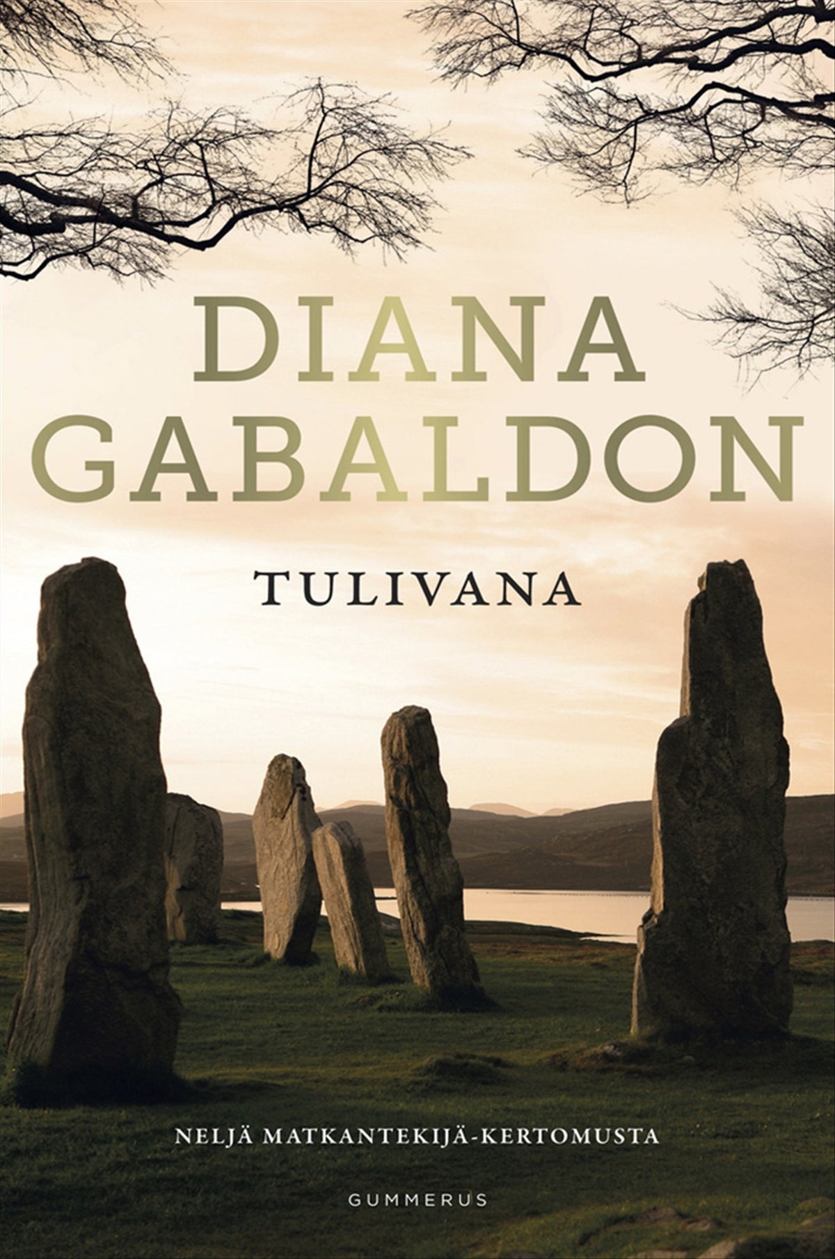 Tulivana – E-bok
