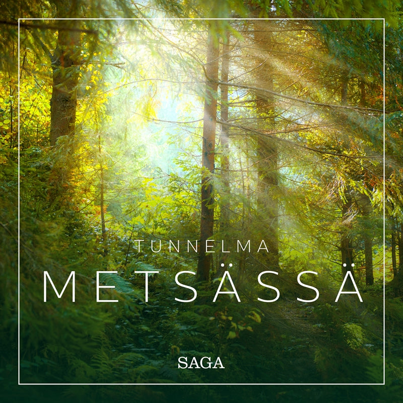 Tunnelma - Metsässä – Ljudbok