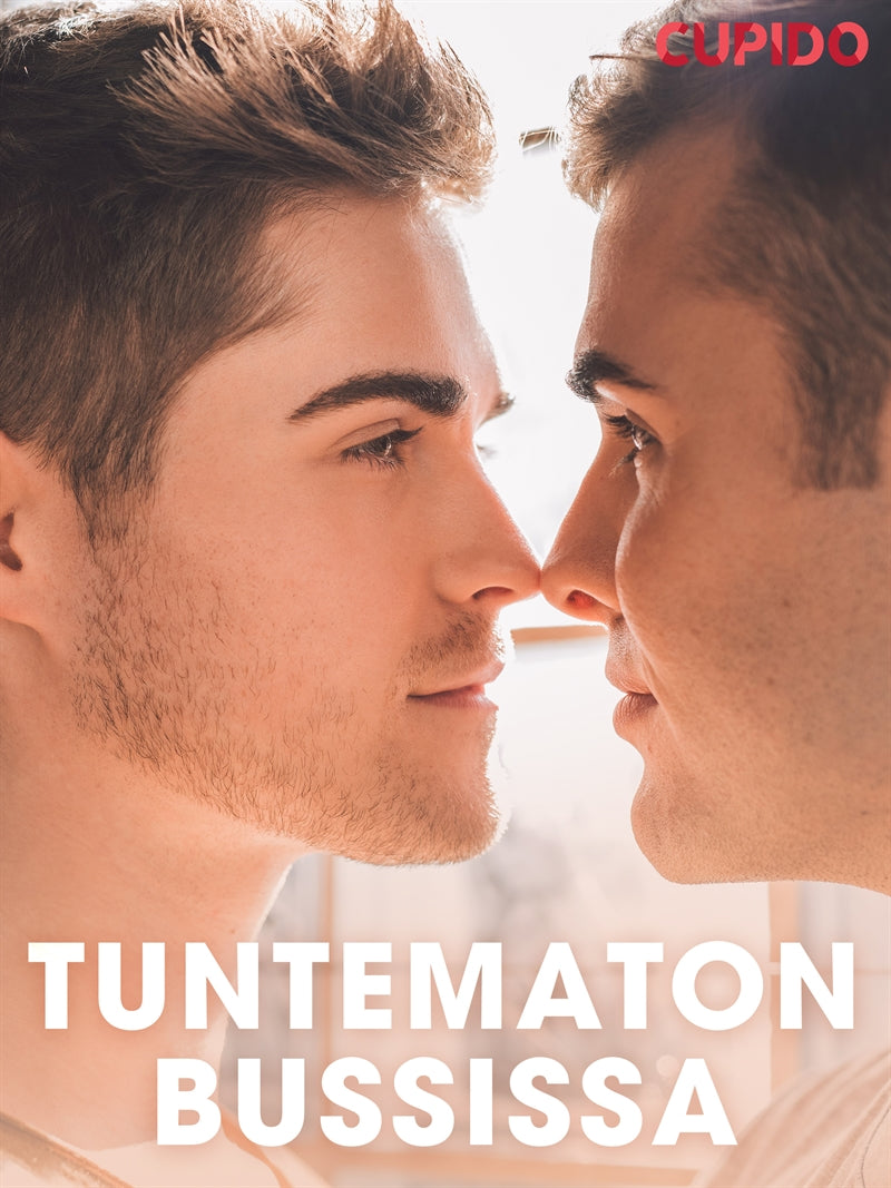 Tuntematon bussissa – E-bok