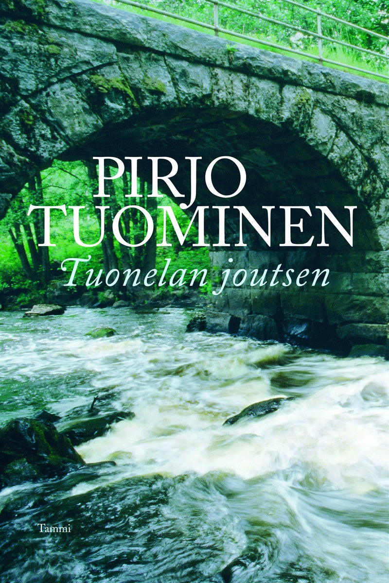 Tuonelan joutsen – E-bok