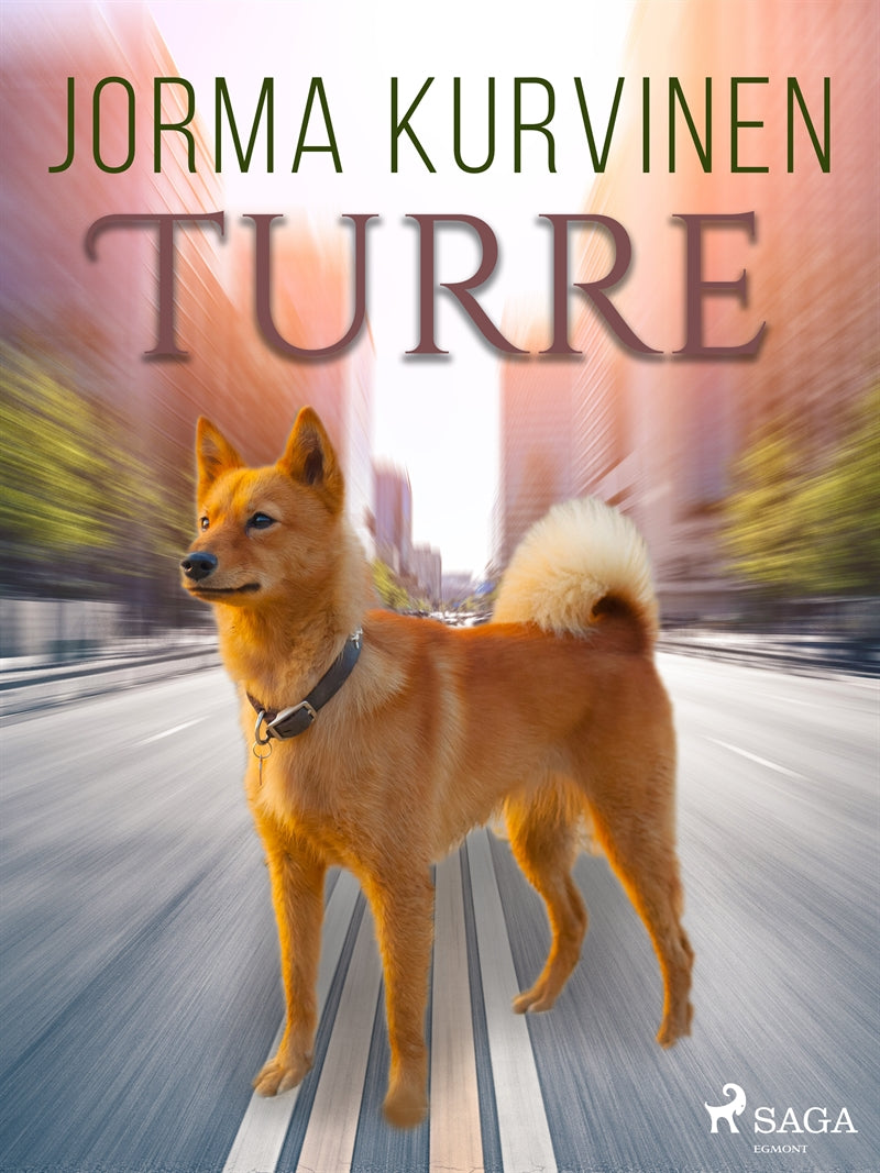 Turre – E-bok