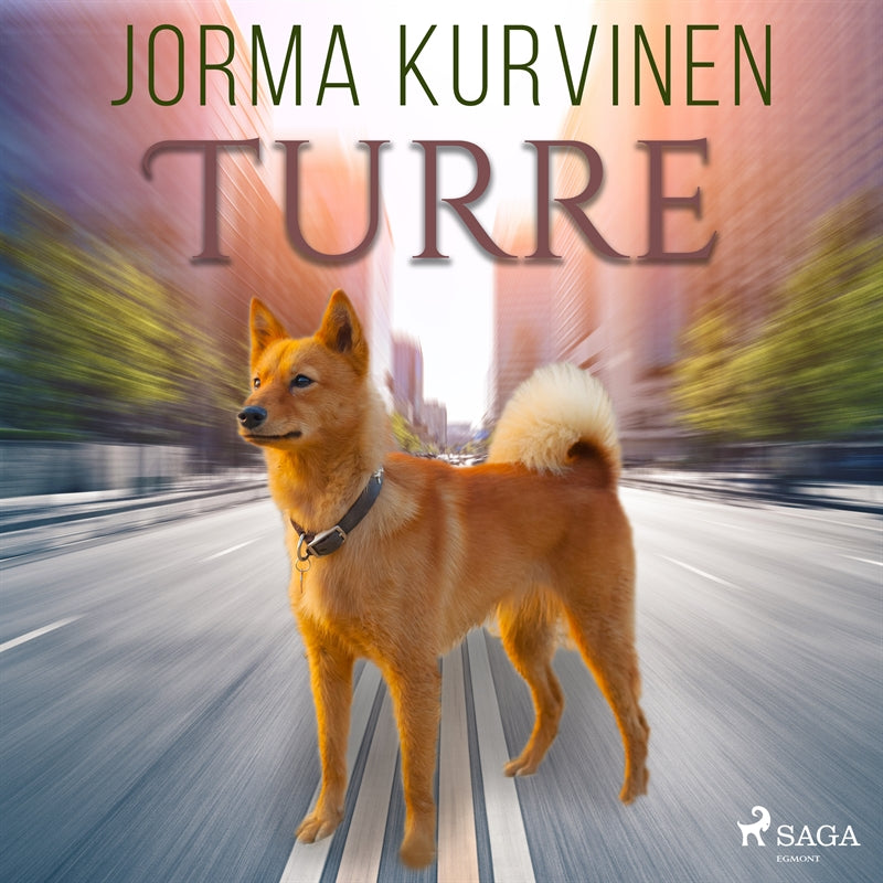 Turre – Ljudbok