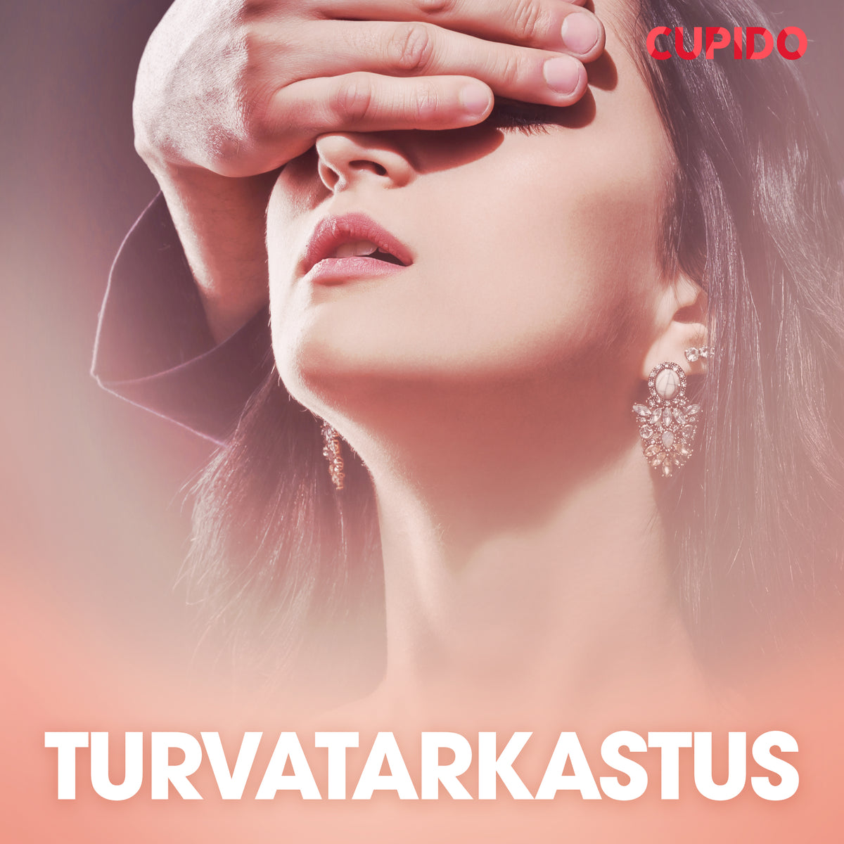 Turvatarkastus – Ljudbok