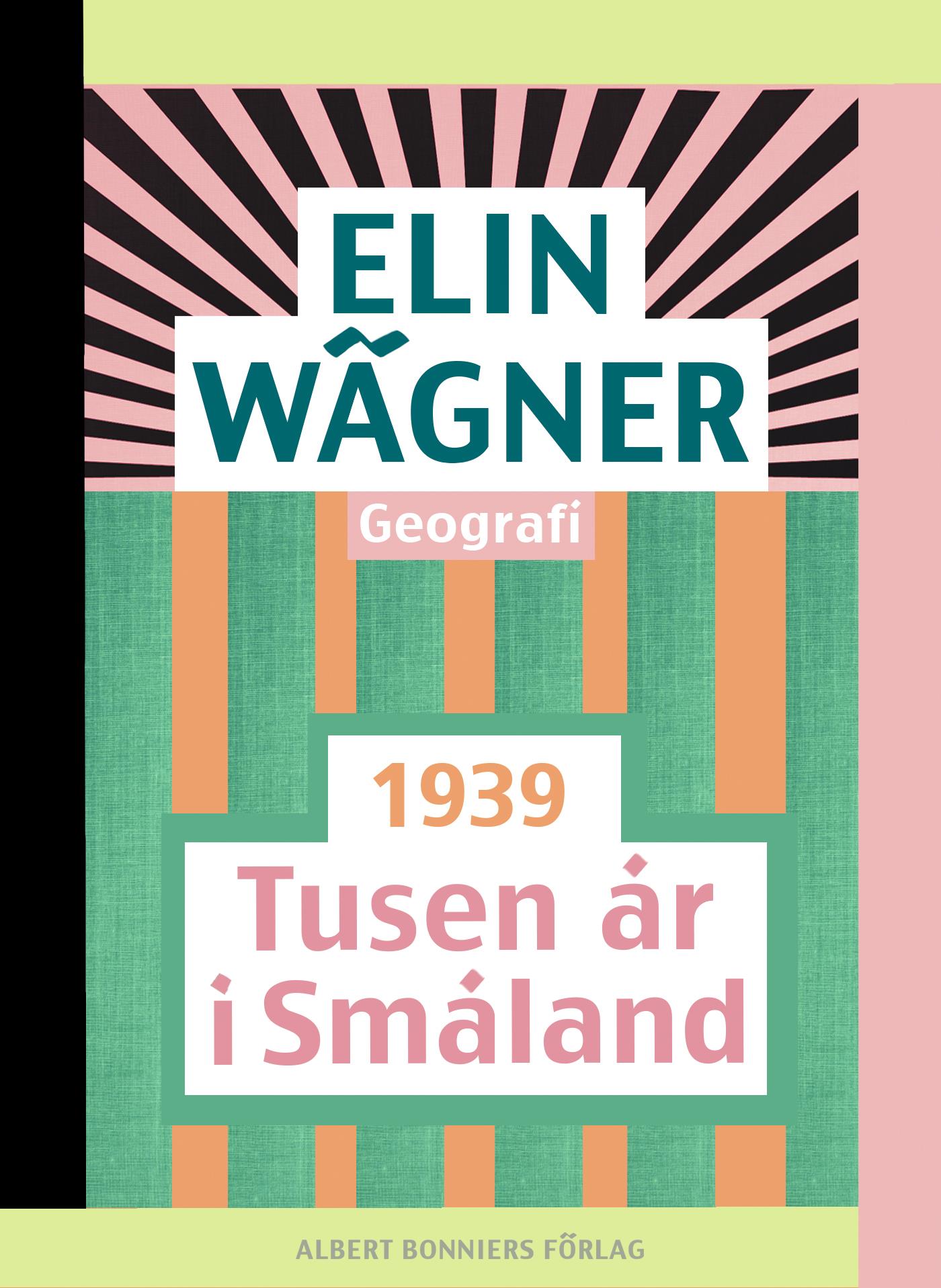 Tusen år i Småland – E-bok