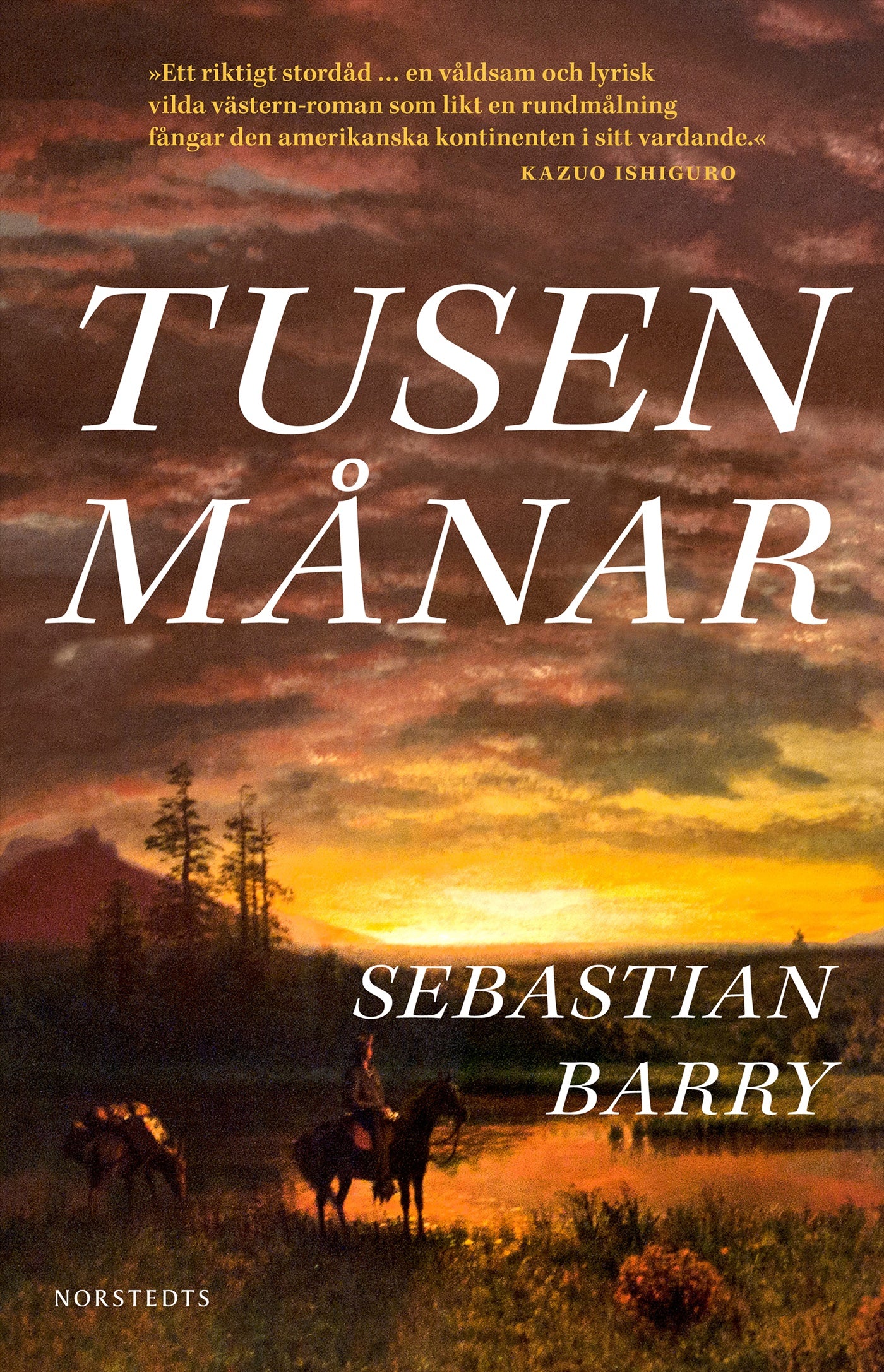 Tusen månar – E-bok