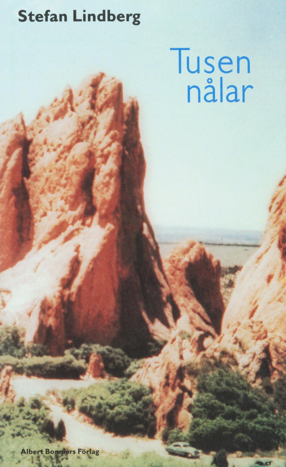 Tusen nålar – E-bok