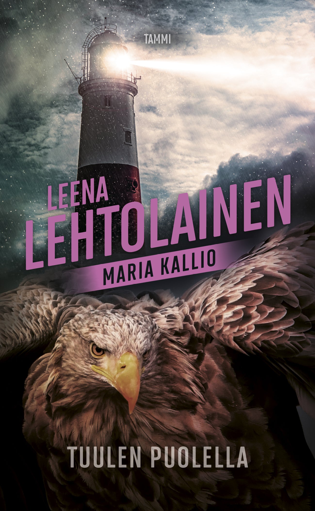 Tuulen puolella – E-bok