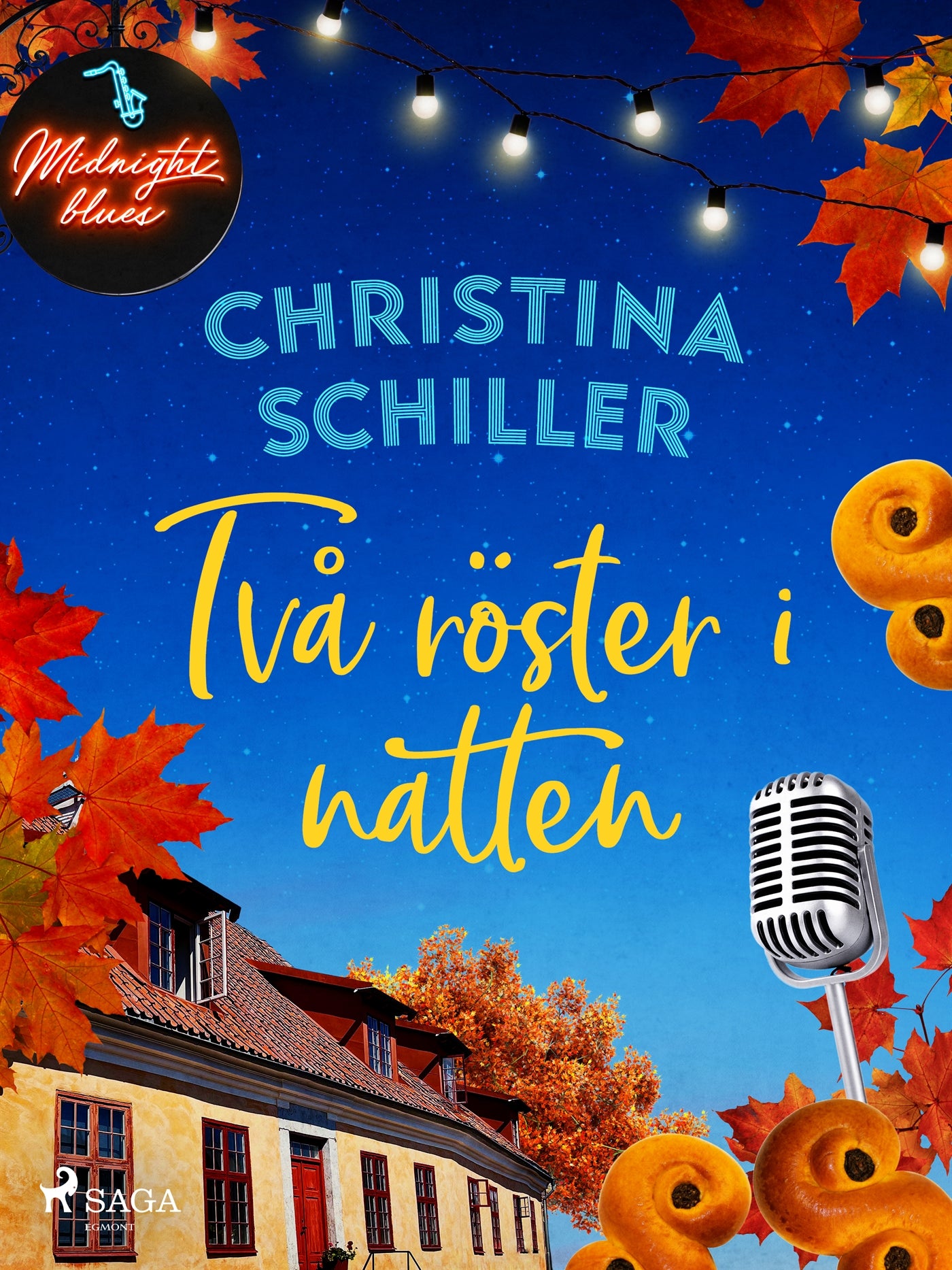 Två röster i natten – E-bok