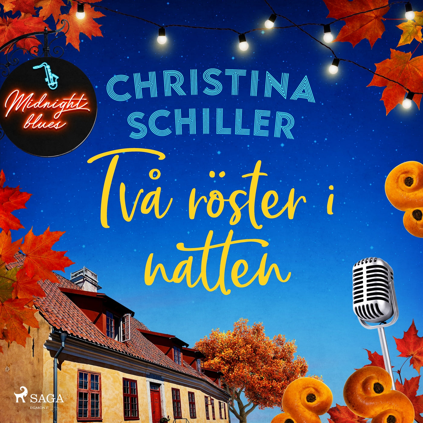 Två röster i natten – Ljudbok