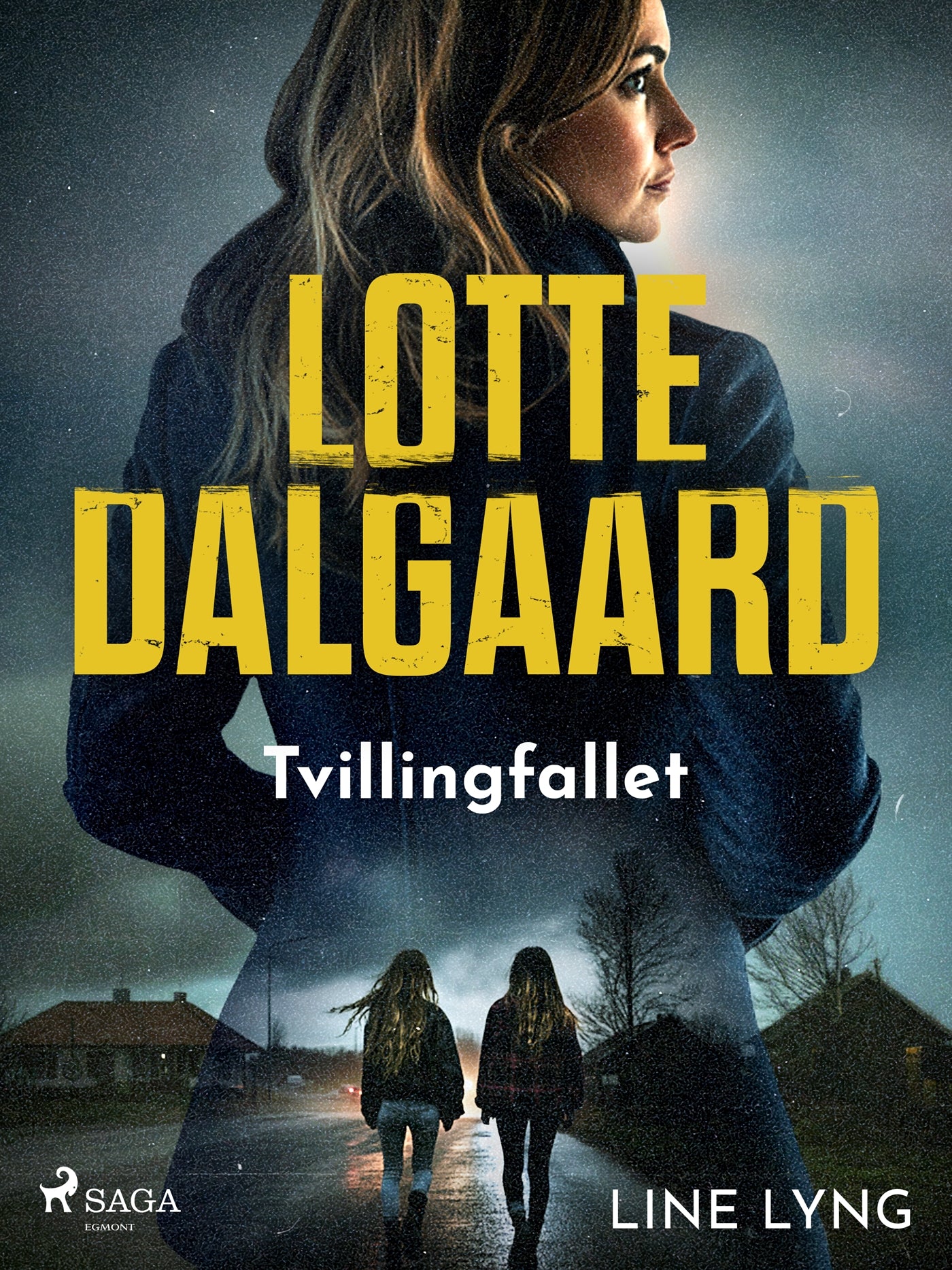 Tvillingfallet – E-bok