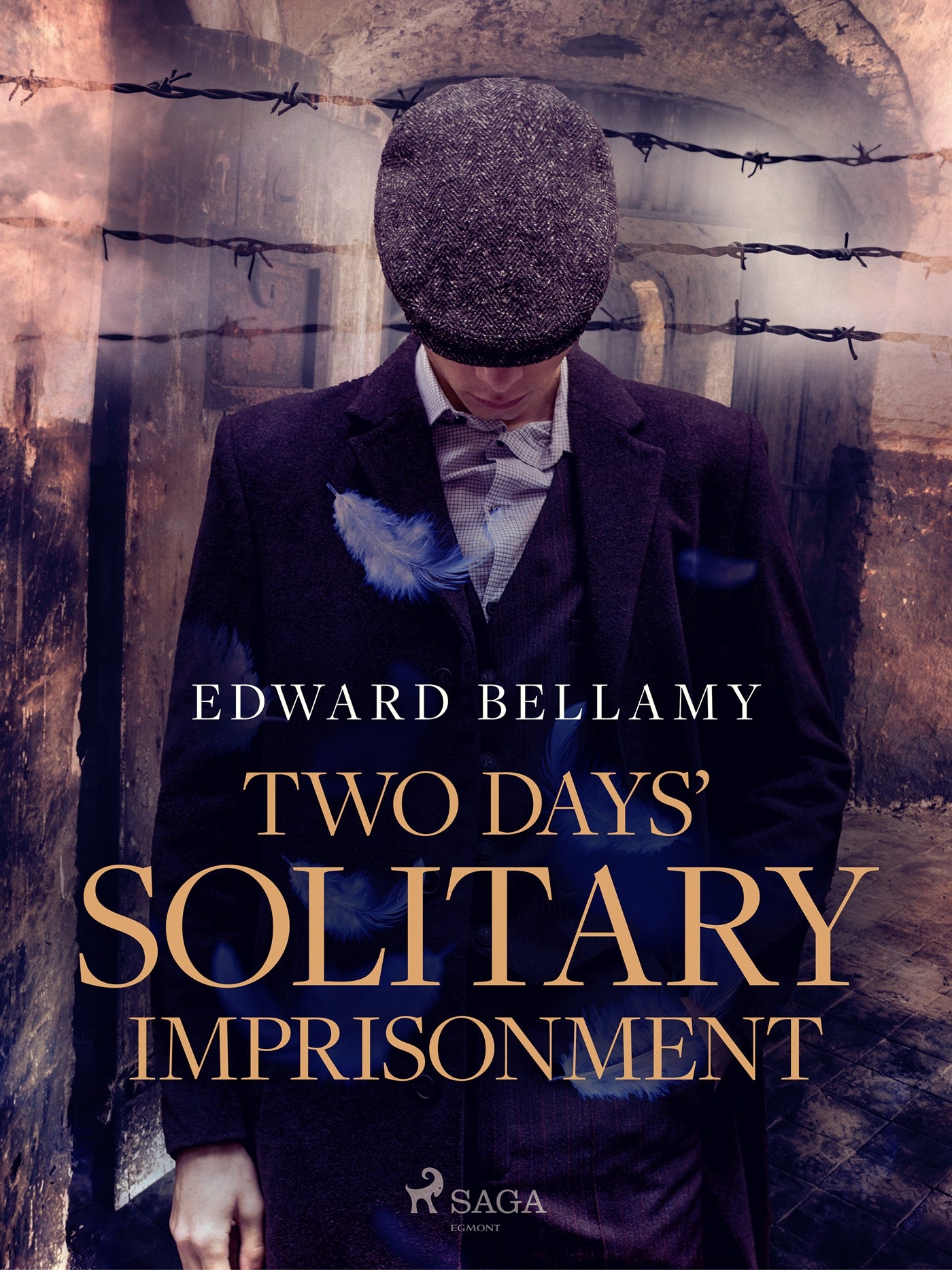 Two Days' Solitary Imprisonment – E-bok