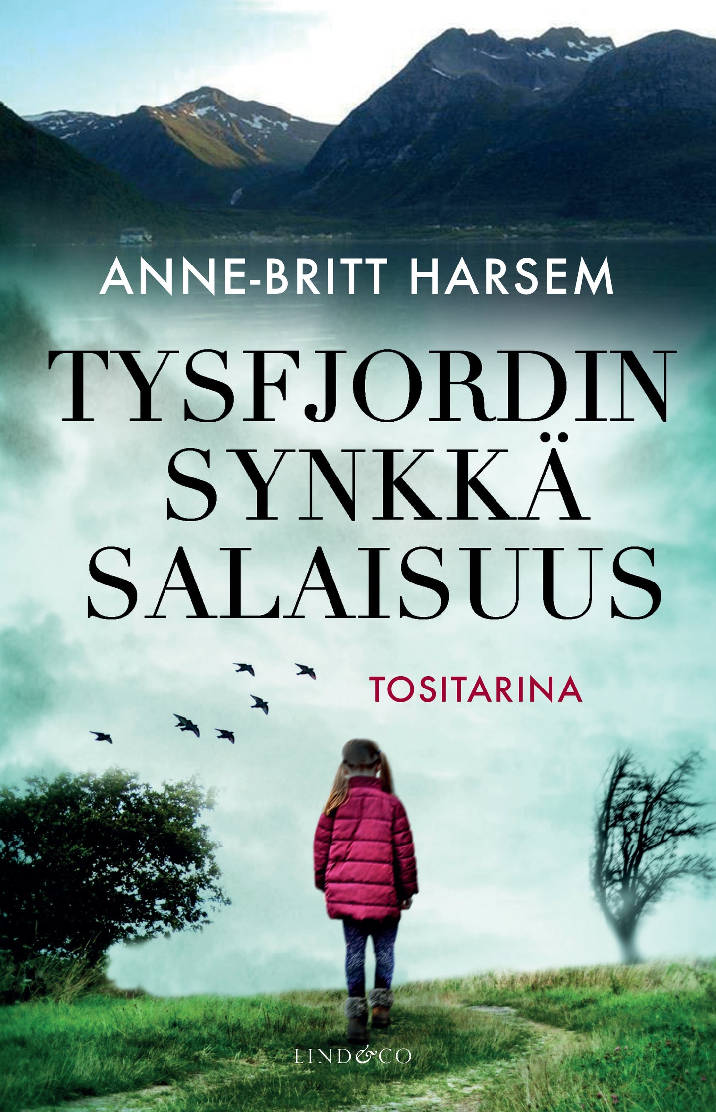 Tysfjordin synkkä salaisuus – E-bok